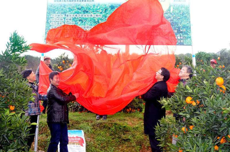 柑橘示范_副本.jpg