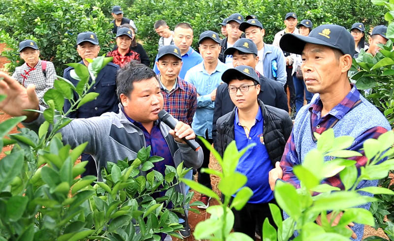 景明农旅技术总监为农户讲解种植技术_副本.jpg